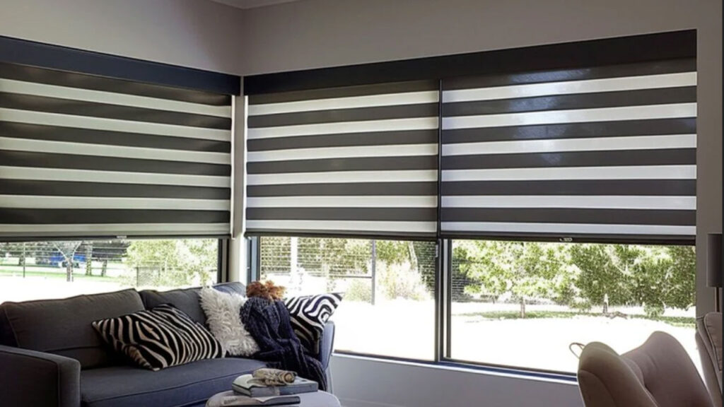 Zebra Blinds