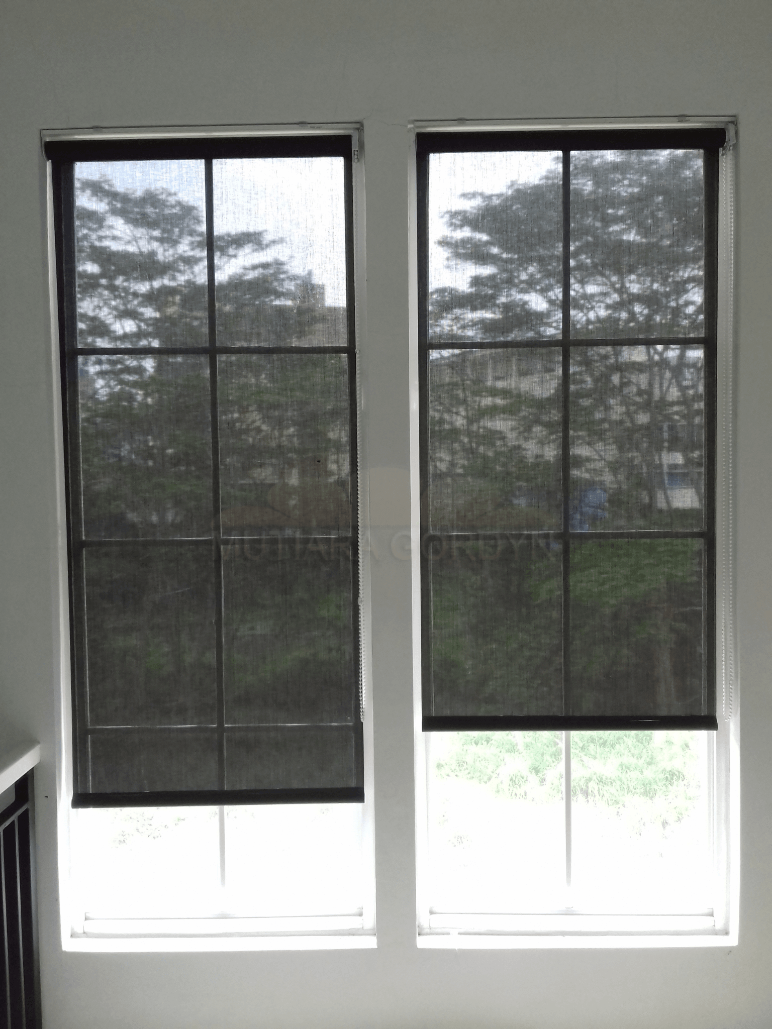 Solar Screen: Roller Blind PIK.