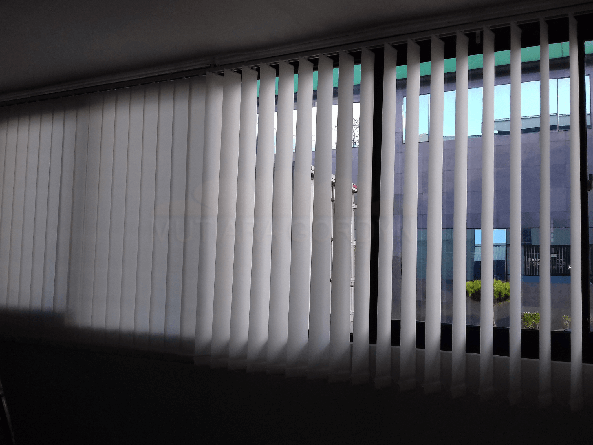 Vertical Blind