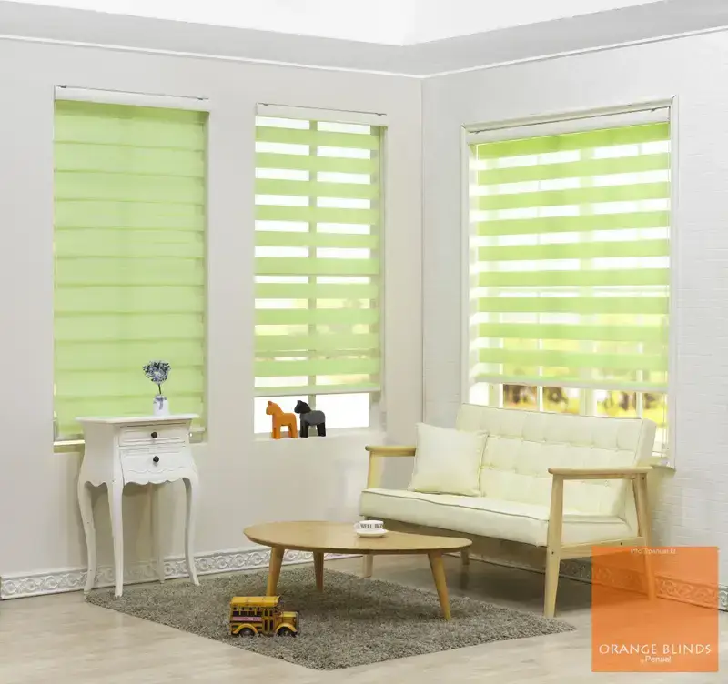 Mengenal Zebra Blind, Tirai Kombinasi Modern untuk Ruangan Minimalis di Depok